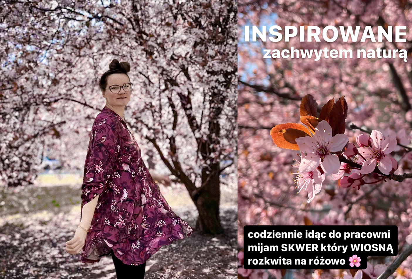 wiosenne kwitnienie wiśni - kwiatowy wzór na kimona ze śpiewającymi ptakami NAWROTANKA